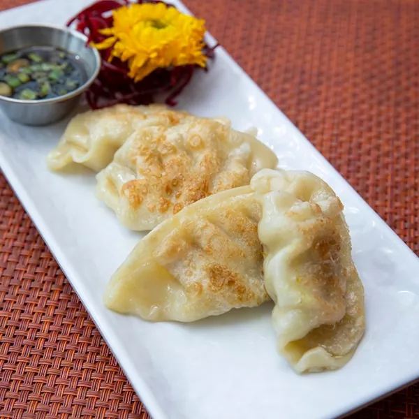 Pork Potstickers at Aloy Modern Thai Larimer